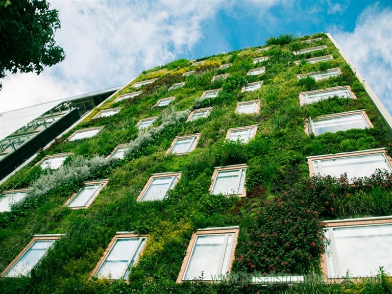 Los jardines verticales o muros verdes